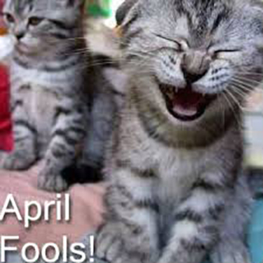 april-fools-cat-laugh
